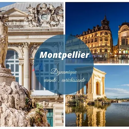Bleu Azur Carnon Proche Met Et Port Proche Montpellier Wifi Apartment